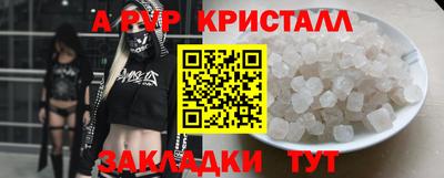 индика Лесосибирск