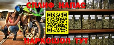 индика Лесосибирск
