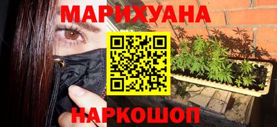 индика Лесосибирск