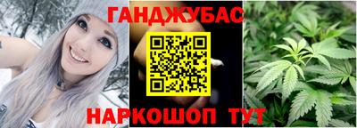 индика Лесосибирск